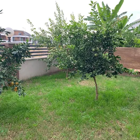 Kocak Apartment-3